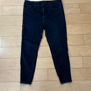 Ann Taylor Indigo Denim Pants
